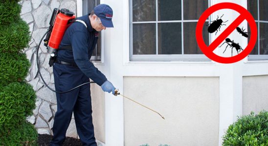 Evka 7 Böcek ve Haşere İlaçlama böcek ilaçlama ve haşere kontrolü — ilaclama-tr.com